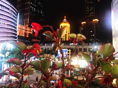 -DOUTOR德咖伦(吴江路店)