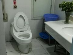 -华中科技大学同济医学院附属同济医院(汉口院区)