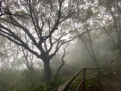 -白草畔自然风景区