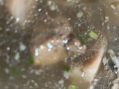 -燕子煨汤(山海关路店)