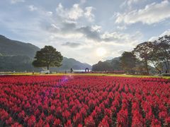 -广州市石门国家森林公园