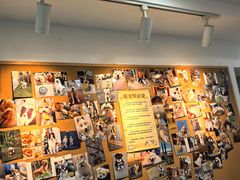 -翊宠yipet猫狗购宠庄园犬舍•猫舍