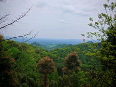 -凤栖山