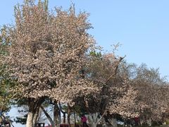 -元大都城垣遗址公园