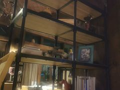 -一棵树·意大利西餐厅One Tree(新城店)