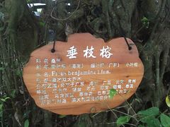 -海口火山口国家地质公园