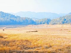 -长沙黑麋峰国家森林公园