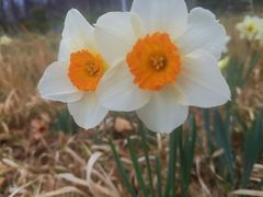 -郑州中国绿化博览园