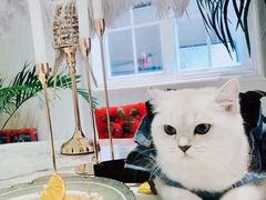 -馨园villa融合菜(东山店)