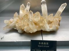 -中国地质大学逸夫博物馆