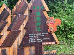 -汤旺河林海奇石景区