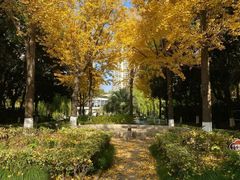 -苏州河梦清园环保主题公园