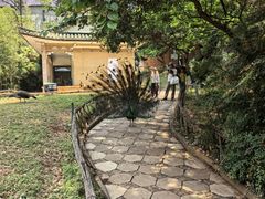 -昆明动物园