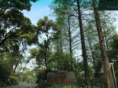 -浙江西子宾馆·瑶园咖啡厅