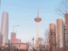 -辽宁电视塔