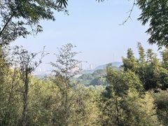 -潜山国家森林公园