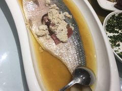 酒酿清蒸鲥鱼-席家花园(巨鹿花园店)