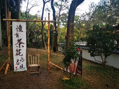 -深圳国际园林花卉博览园