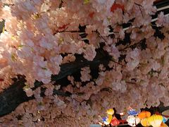 -渝厨生态火锅(合川区府店)