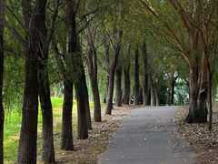 -长白岛森林公园