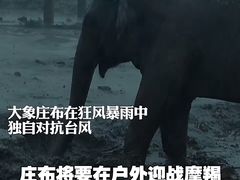 -海南热带野生动植物园