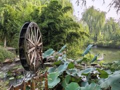 -天毓山庄·餐厅