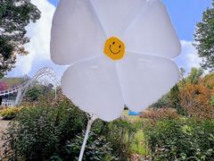 -上海共青森林公园