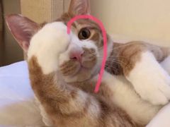 -星巴克(广州中华广场B1层店)