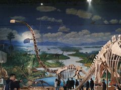 -自贡恐龙博物馆