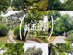 -元大都城垣遗址公园