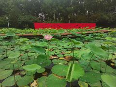 -河北省园博园