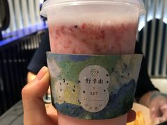-野萃山·潮汕厚果汁(十亩地店)