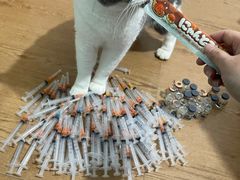 -爱侣宠医·鹦鹉专科·小型哺乳类·异宠专科(灵石路店)