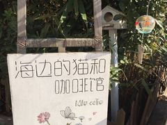 -海边的猫和咖啡馆