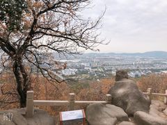 -灵岩山风景区