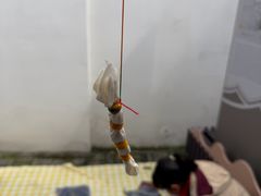 -南京市民俗博物馆(甘熙故居)