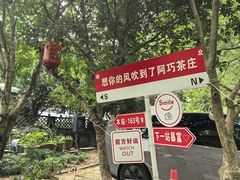-阿巧茶庄