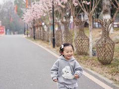 -武汉紫薇都市田园