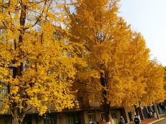 -四川大学(华西校区)