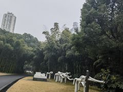 -苏州河梦清园环保主题公园