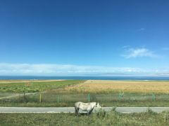 -青海湖国家重点风景名胜区