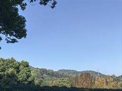 -西湖风景区十里琅珰-五云山