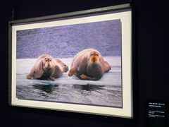 -罗红摄影艺术馆