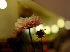 -嘻〆咩 XIME Izakaya