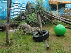 -青藏高原野生动物园