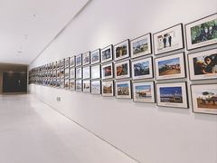 -罗红摄影艺术馆