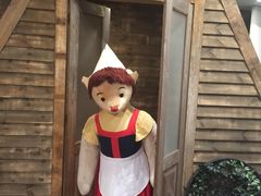 -济州岛泰迪熊博物馆