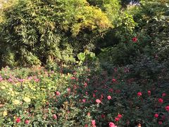 -人民公园(罗湖区)