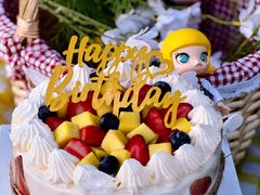 -维尔纳斯·生日蛋糕动物奶油冰淇淋蛋糕(人大店)