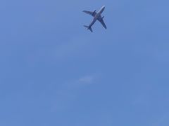 -空港花田景区
